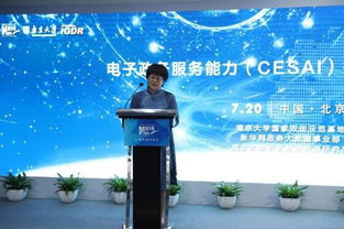 新华网 南京大学在京联合发布电子政务服务能力指数报告